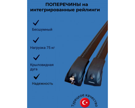Багажник на рейлинги ECEM V2 черный в Тюмени