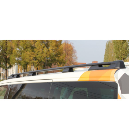 Рейлинги АПС на Volkswagen T5 2003— Арт. 1214-02 в Тюмени
